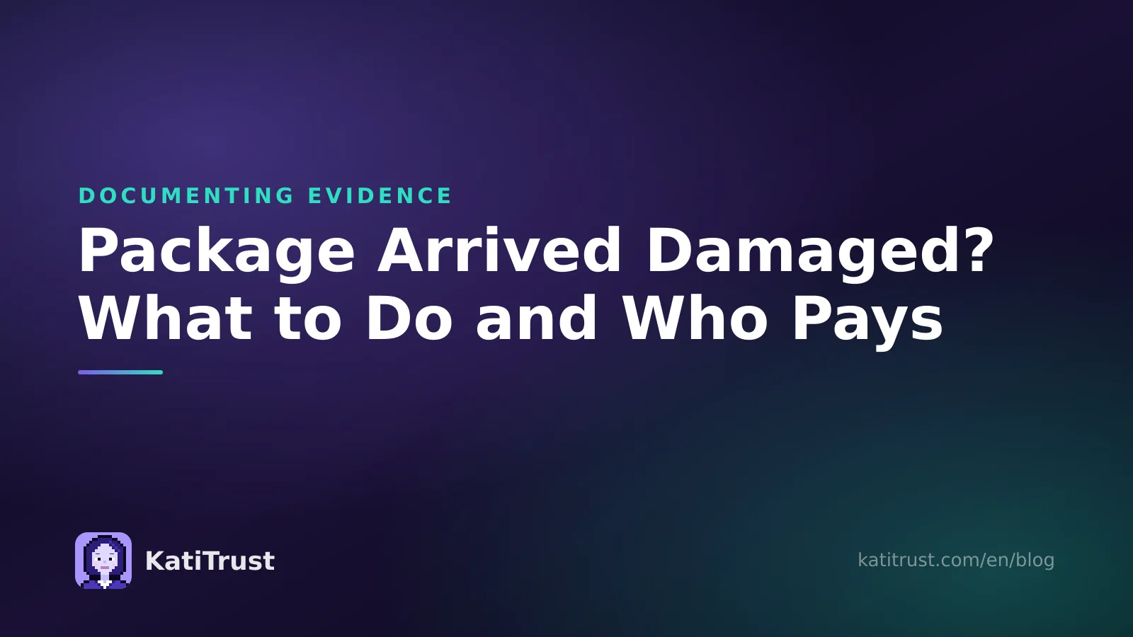 Cover image: package arrived damaged, what to do and who pays for the damage