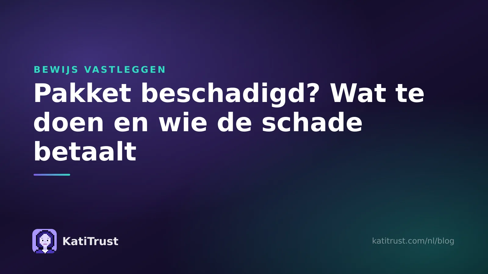 Omslagafbeelding: pakket beschadigd, wat te doen en wie de schade betaalt